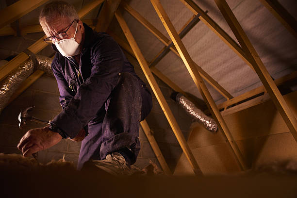 Best Insulation Maintenance and Repair in Hollis, OK